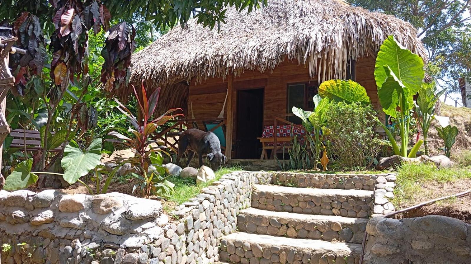 Ecocabanas Diosa Jaguar Tayrona La Esmeralda  エクステリア 写真