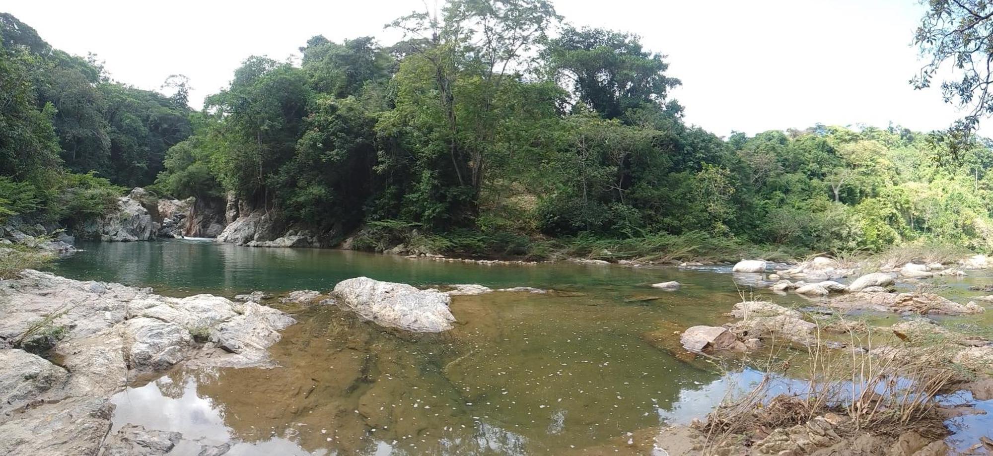 Ecocabanas Diosa Jaguar Tayrona La Esmeralda  エクステリア 写真