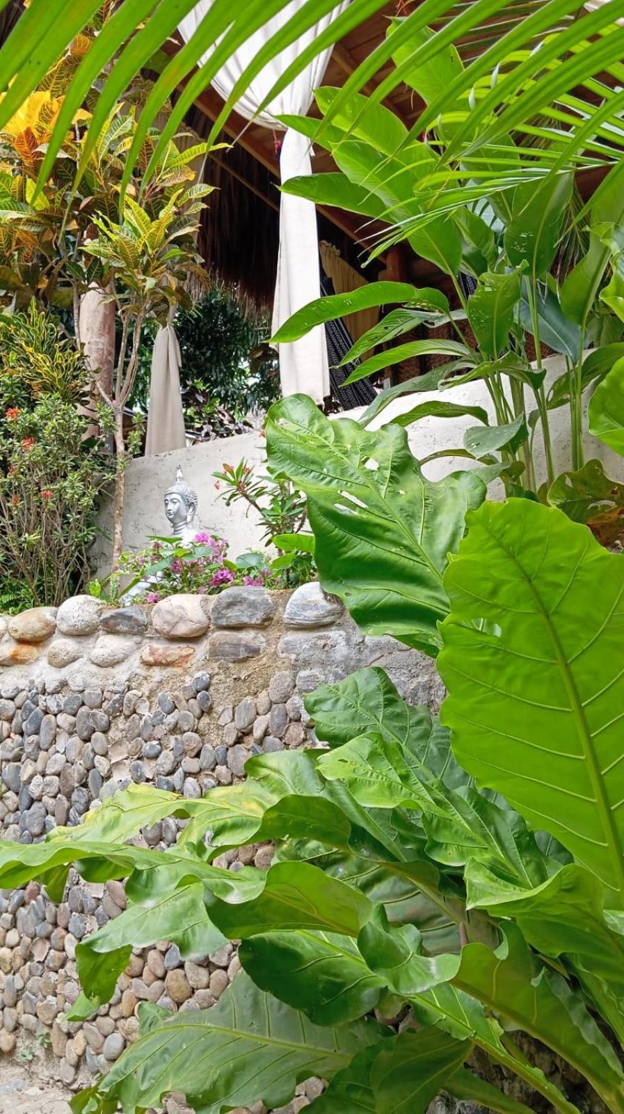 Ecocabanas Diosa Jaguar Tayrona La Esmeralda  エクステリア 写真