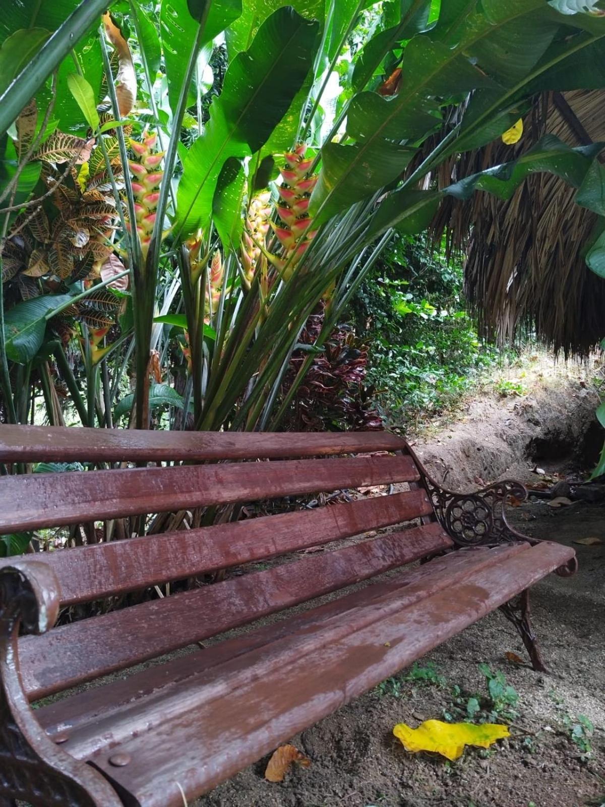 Ecocabanas Diosa Jaguar Tayrona La Esmeralda  部屋 写真