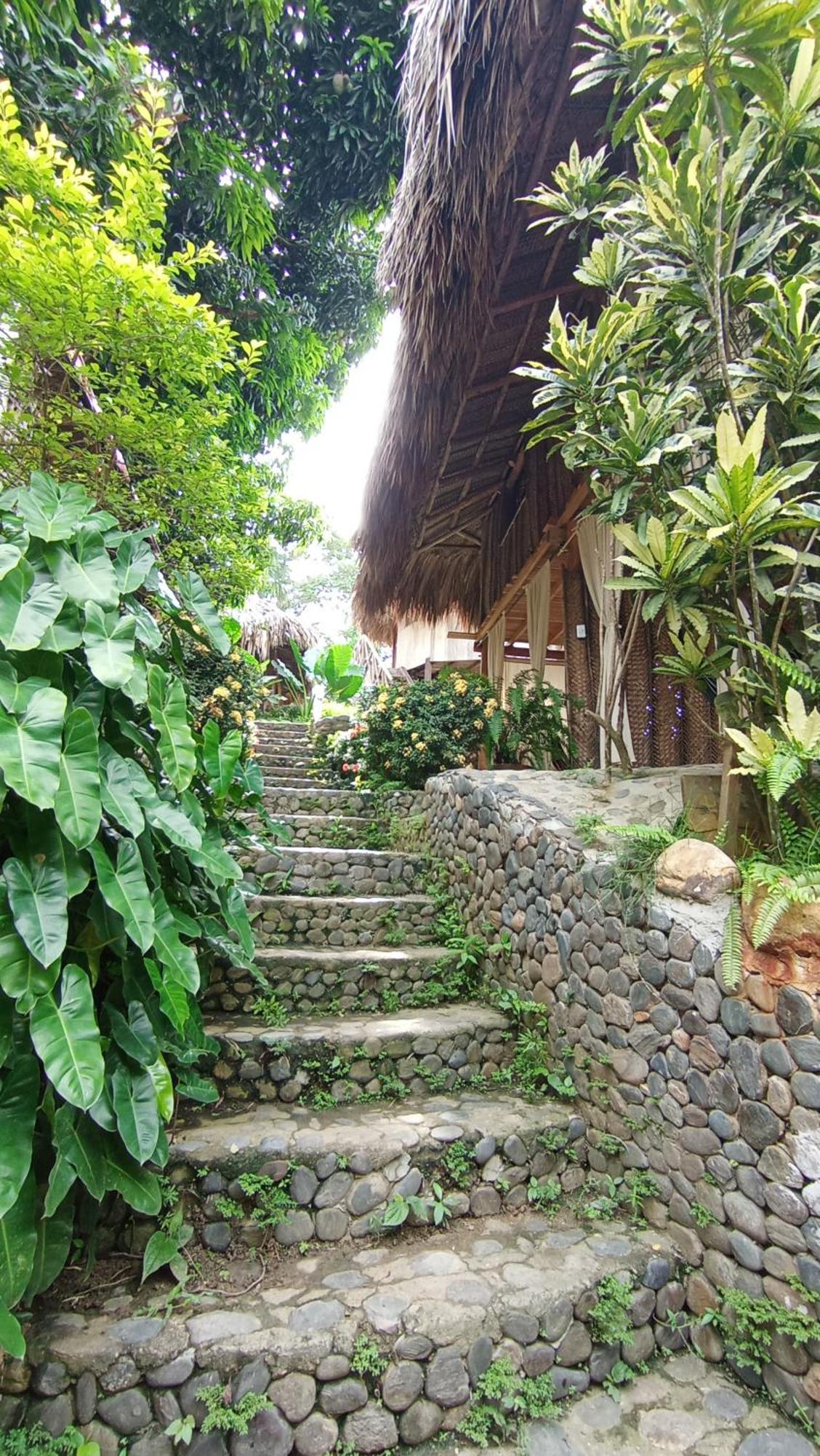 Ecocabanas Diosa Jaguar Tayrona La Esmeralda  エクステリア 写真