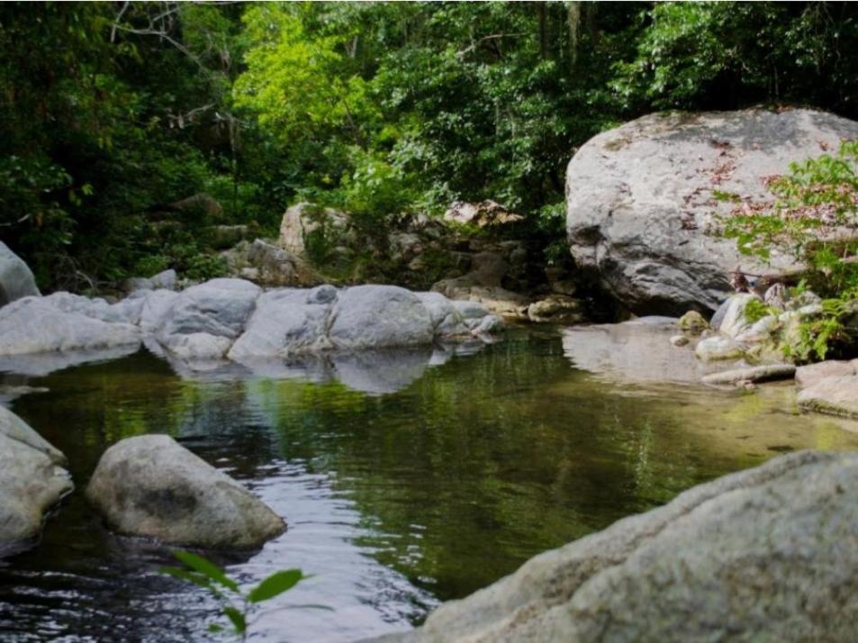 Ecocabanas Diosa Jaguar Tayrona La Esmeralda  エクステリア 写真