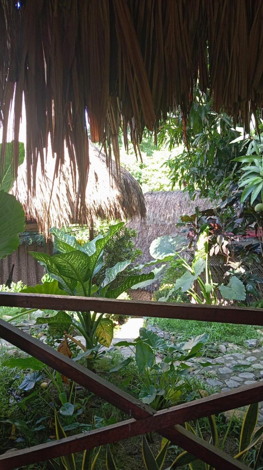 Ecocabanas Diosa Jaguar Tayrona La Esmeralda  エクステリア 写真
